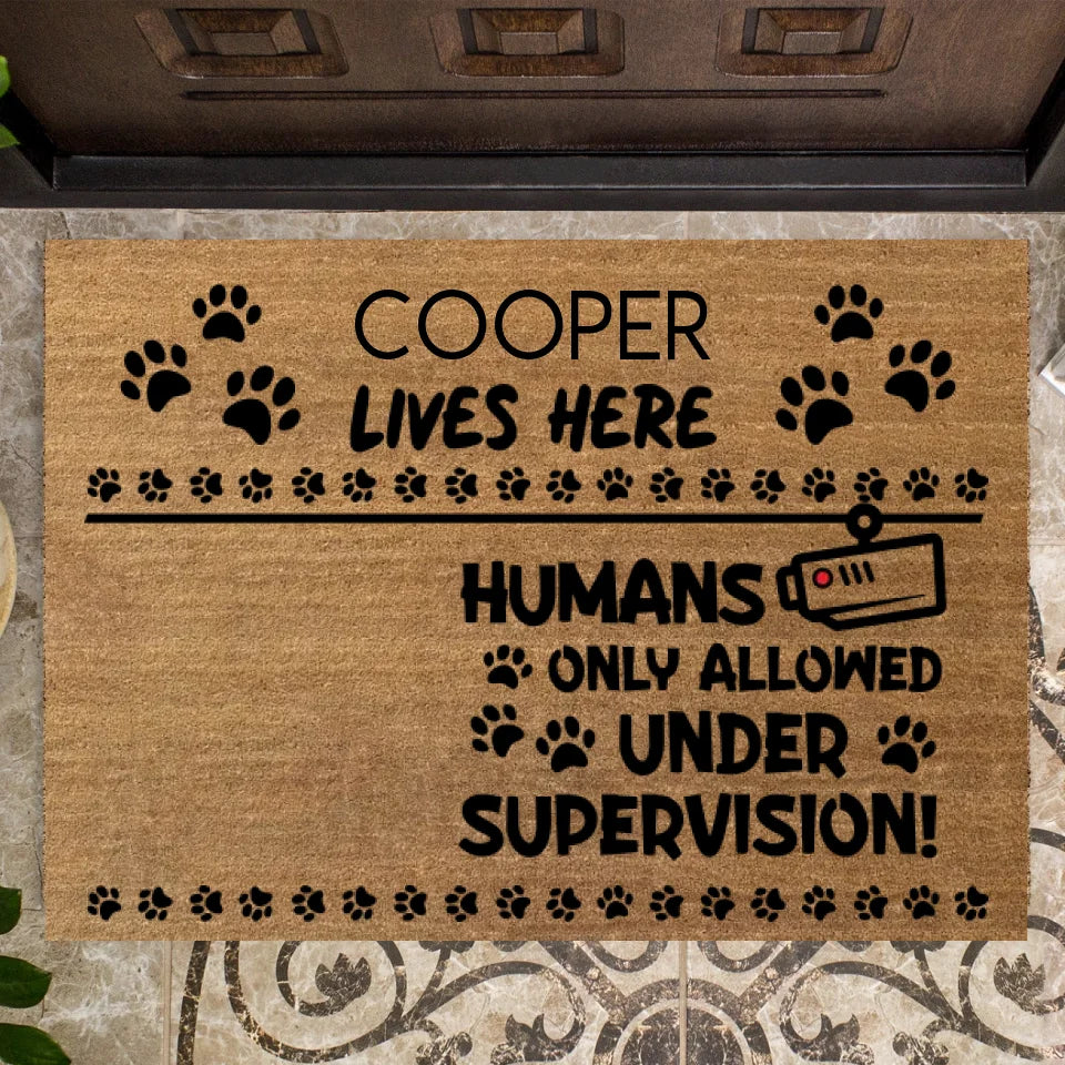 Doormat_Mockup_01b