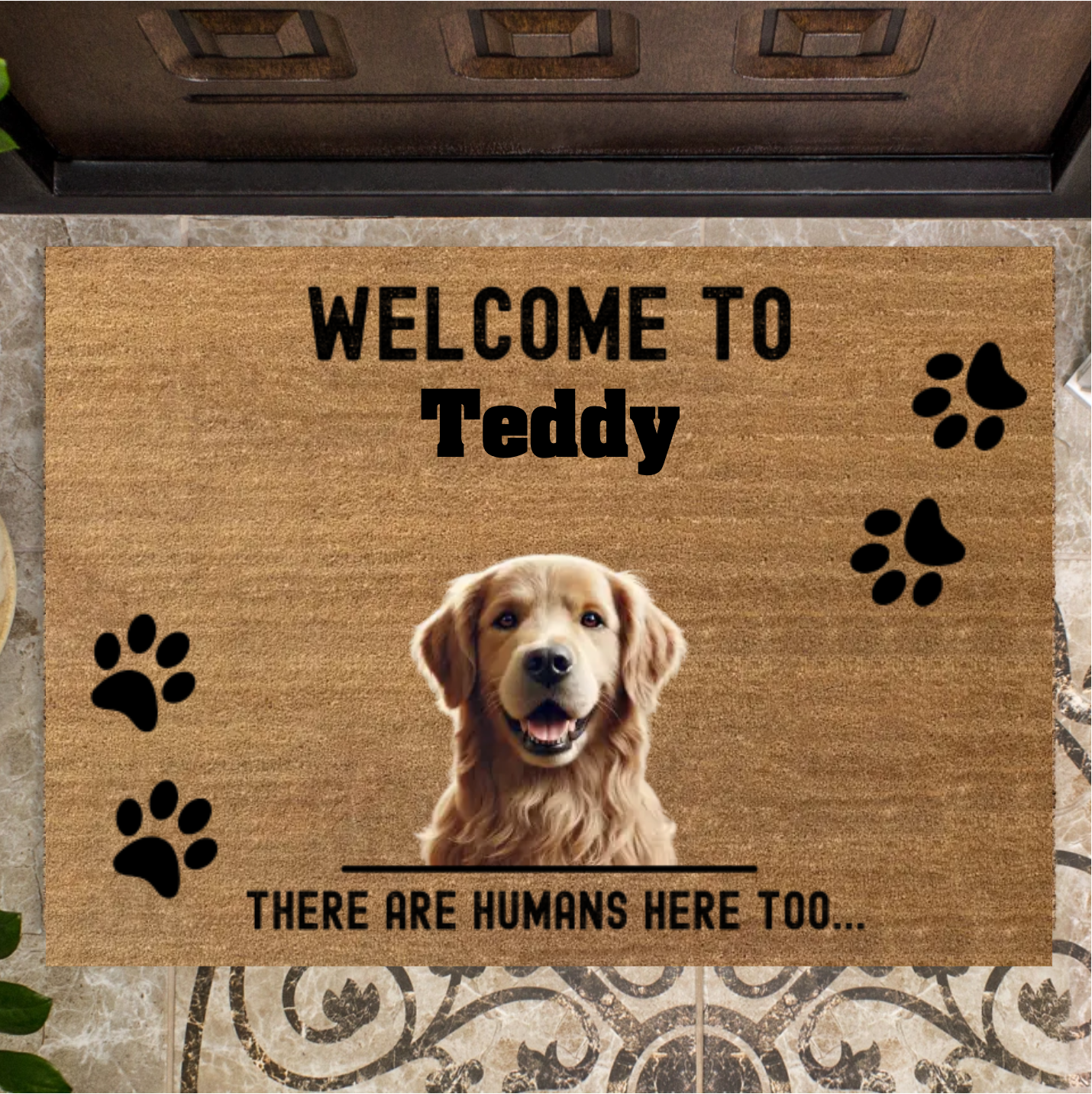 Welcome to Teddy