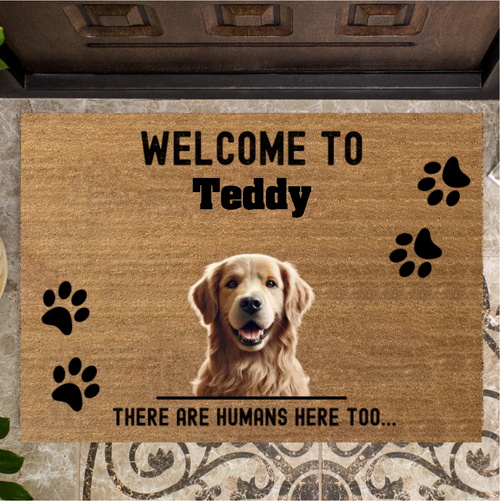 Welcome to Teddy