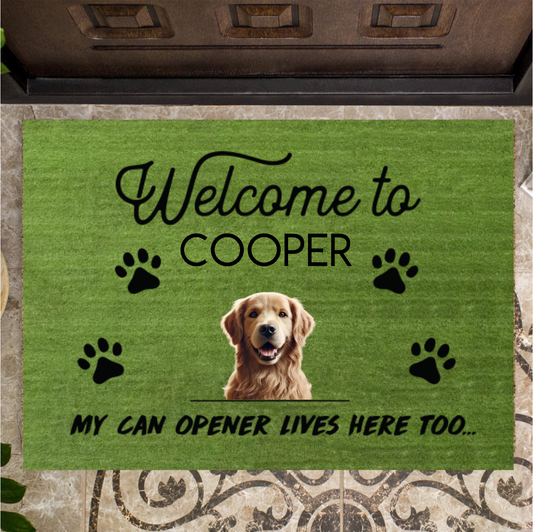 Welcome – my can opener lives here too
